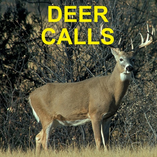 deer sounds music