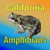 California Amphibians - Guide to Common Species reptiles amphibians 