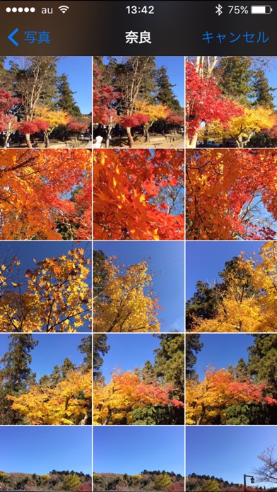 iPhone スクリーンショット 3