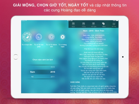 iPad Screenshot 4