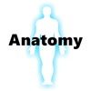 Anatomy Basic Study Guide-Cheatsheet with Glossary free anatomy study guides 