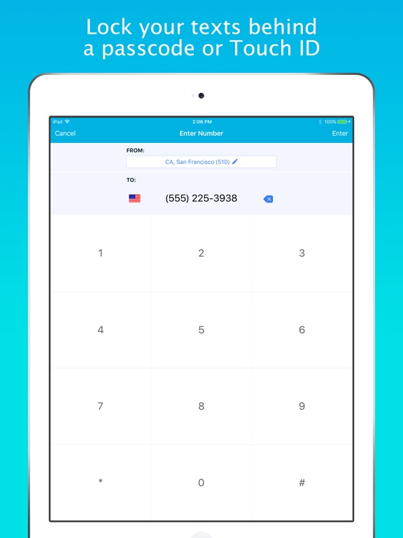Screenshots of Smiley Private Texting - FREE anonymous sms number for iPad