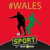 Wales Football wales 