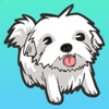 私のマルタの犬のステッカー