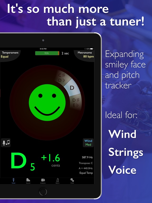 iPad Screenshot 1