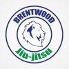 Brentwood Brazilian Jiu Jitsu brazilian jiu jitsu 