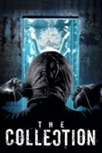The Collection cover