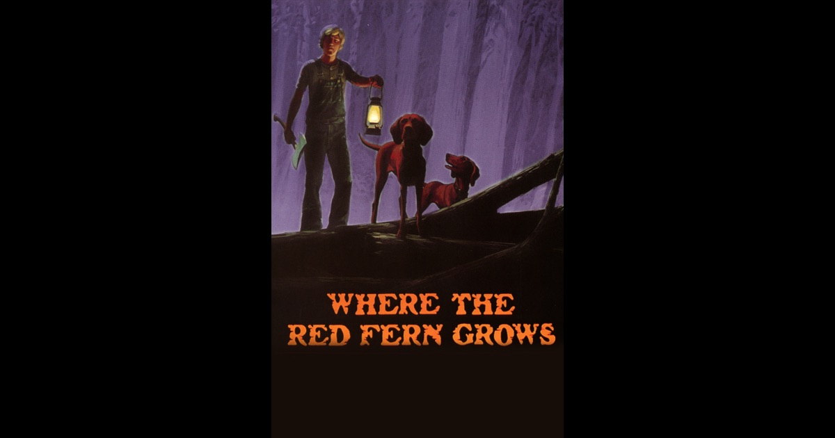 where the red fern grows perseverance where the red fern grows perseverance