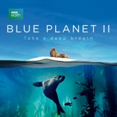 Blue Planet II - Blue Planet II  artwork