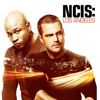 NCIS: Los Angeles - This is What We Do  artwork