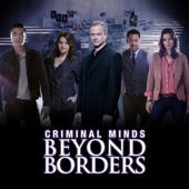 Criminal Minds: Beyond Borders - Criminal Minds: Beyond Borders, Season 2  artwork