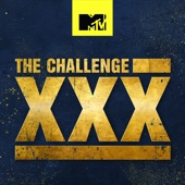 The Challenge: Dirty 30 - The Challenge: Dirty 30  artwork