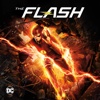 The Flash - The Flash Reborn artwork