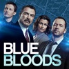 Blue Bloods - The Forgotten  artwork