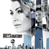 Grey's Anatomy - Grey's Anatomy, Season 14  artwork