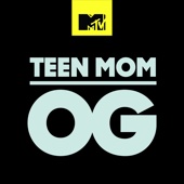 Teen Mom - Teen Mom, Vol. 19  artwork