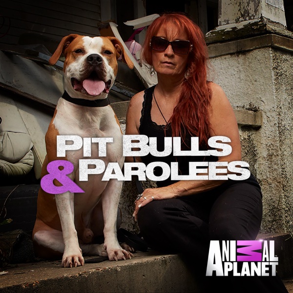 Pitbulls And Parolees Season 7 Episode 9