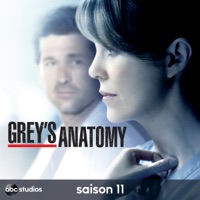 bs greys anatomy 11 bs greys anatomy 11