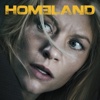 Homeland - Seperation Anxiety  artwork