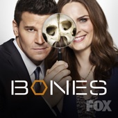 Bones - Bones, Season 12  artwork